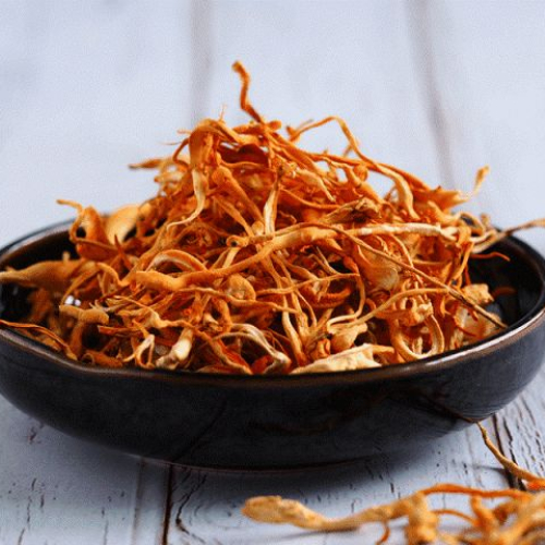 Một Số Lưu Ý Về Tác Dụng Phụ Của Đông Trùng Hạ Thảo